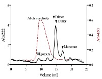 Amyloid beta oligomer-specific monoclonal antibody (OMAB), Biotinylated in the group Antibodies Human Cell Biology / Neuroscience / Neurodegenerative diseases / Alzheimer's disease at Agrisera AB (Antibodies for research) (AS10 932B)
